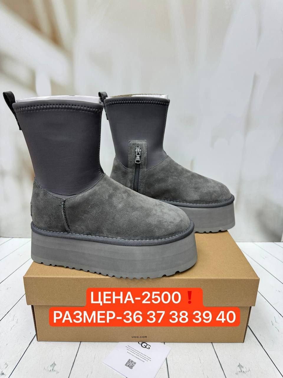 женские угги,,угги graciana,угги женские ugg,угги