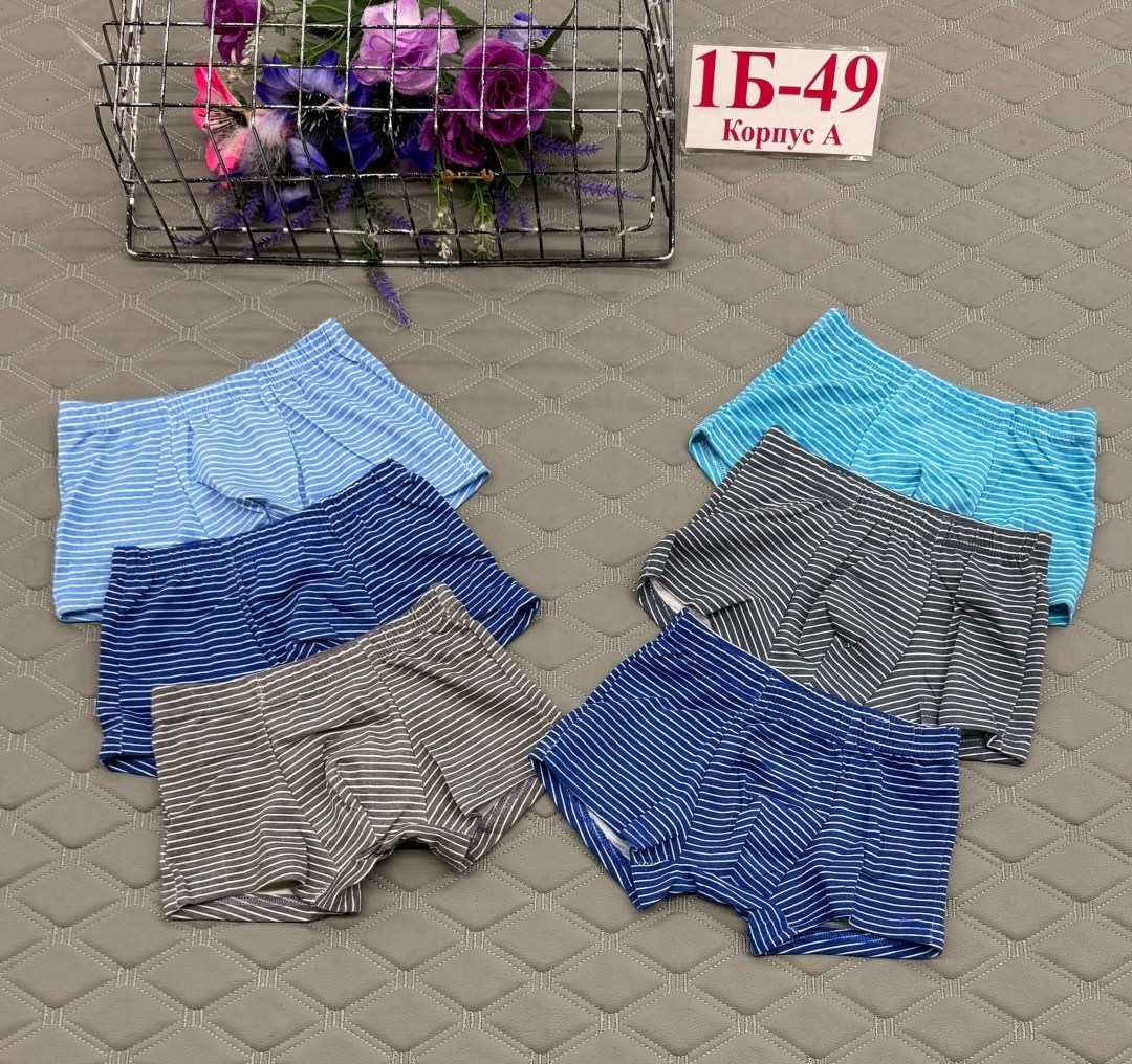 трусы для мальчиков,комплект трусов,детские трусы для мальчика ,трусы детские,детские трусы