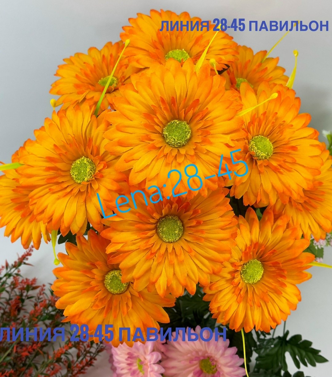 гербера желтая,желтые герберы,гербера джемсона желтая,гербера аква желтая,гербера мини желтая