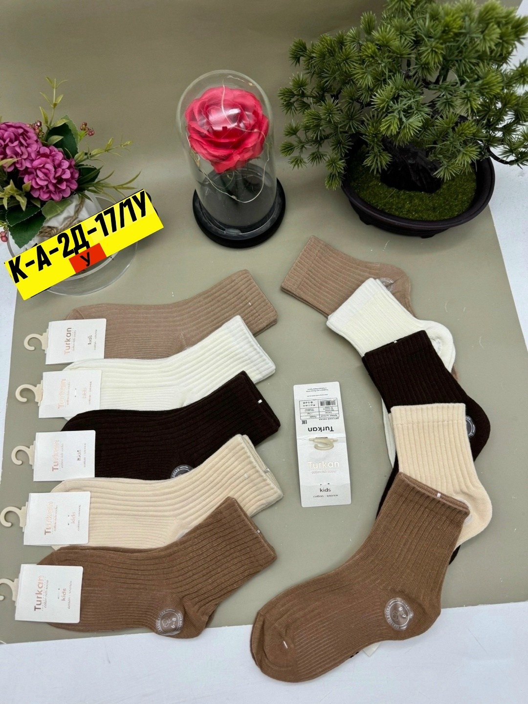 носки женские,носки женские набор,носки женские 10 пар разного цвета,комплект носков,носки женские 10 пар