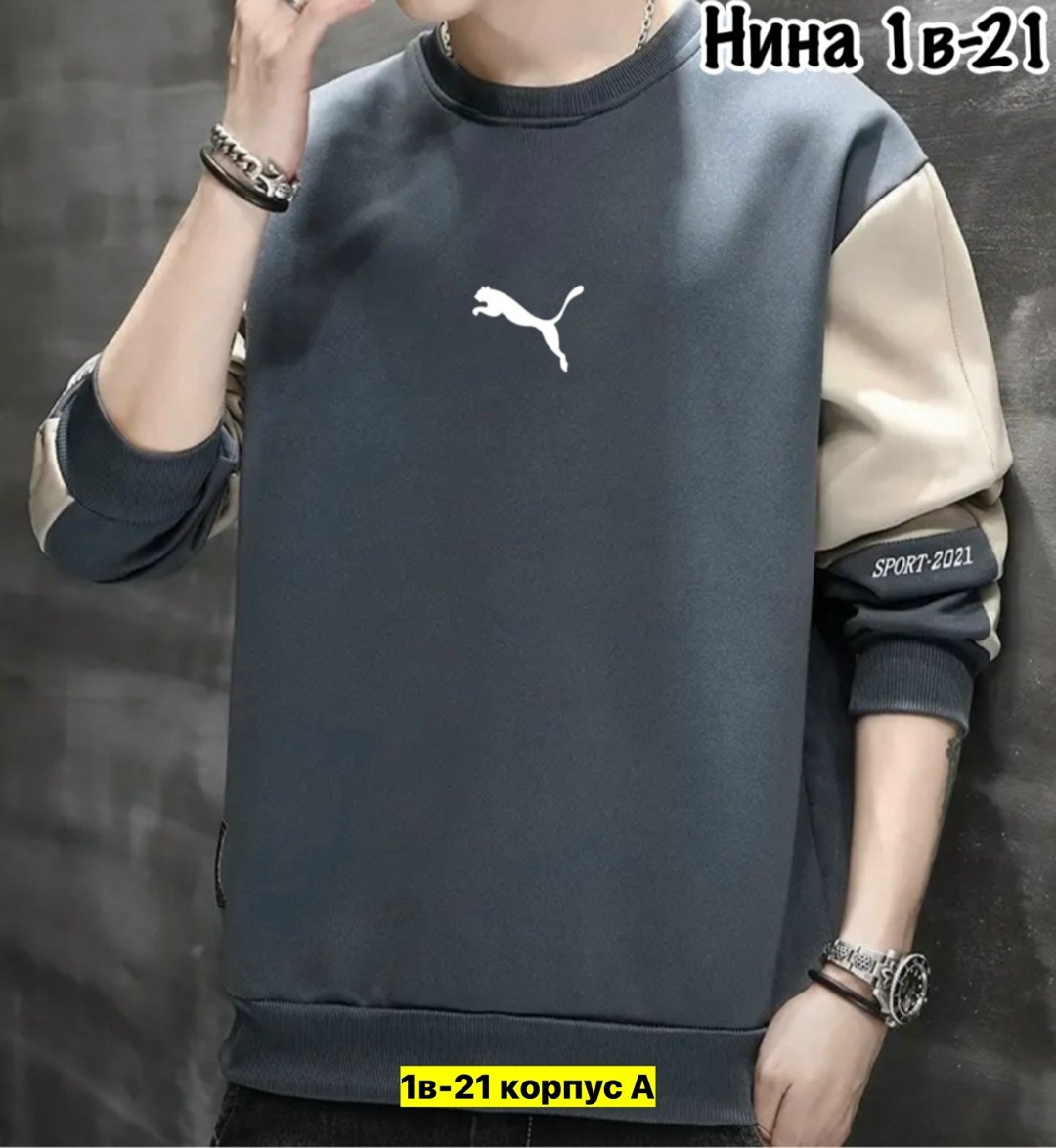 толстовка в стиле,толстовка мужская,повседневный свитшот,мужской свитшот,кофта мужской