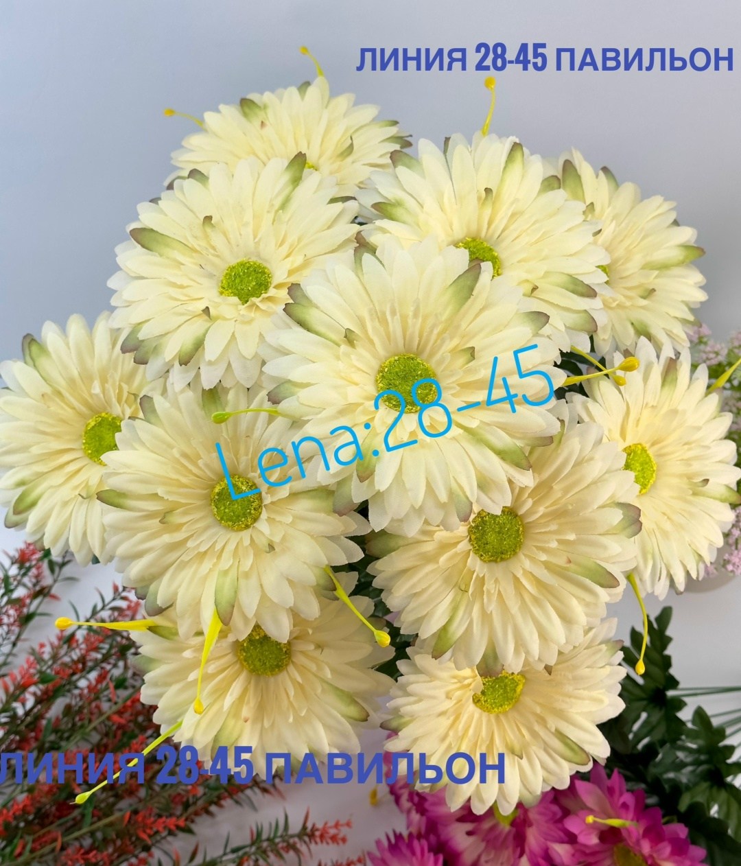 гербера желтая,желтые герберы,гербера джемсона желтая,гербера аква желтая,гербера мини желтая