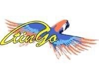 ,тапочки на плоской подошве, пляжная,летние тапочки,туфли сабо