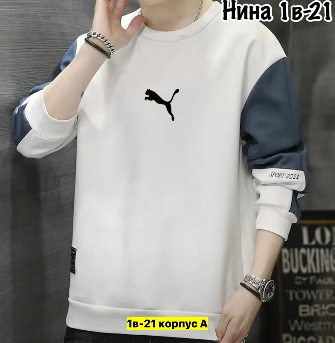 толстовка в стиле,толстовка мужская,повседневный свитшот,мужской свитшот,кофта мужской