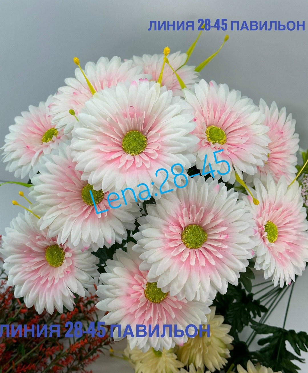 гербера желтая,желтые герберы,гербера джемсона желтая,гербера аква желтая,гербера мини желтая