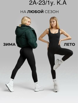 Боди