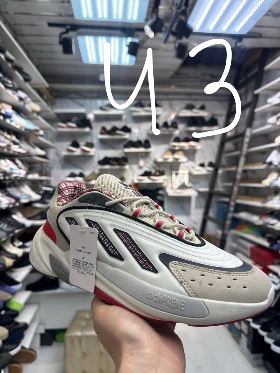 кроссовки adidas ozelia,кроссовки adidas,кроссовки,кроссовки адидас,кроссовки мужские adidas