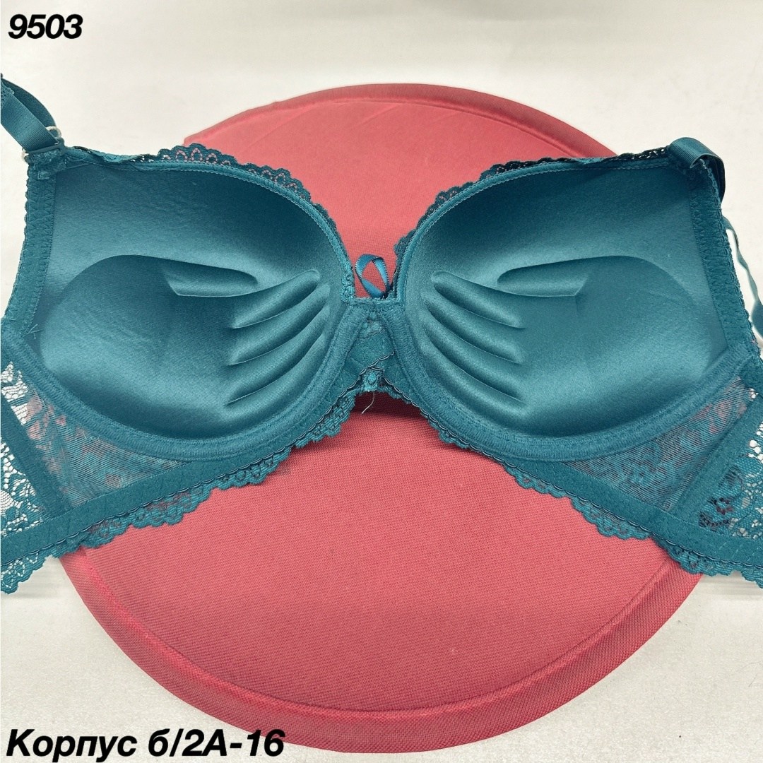 комплект женского нижнего белья,комплект нижнее белье,женский кружевной комплект нижнего белья,женское нижнее белье,нижнее белье комплект кружевное