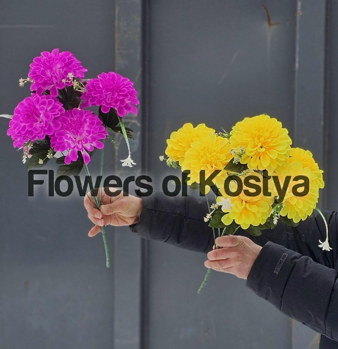 цветные хризантемы,желтые хризантемы,цветы хризантемы,разноцветные хризантемы,хризантема
