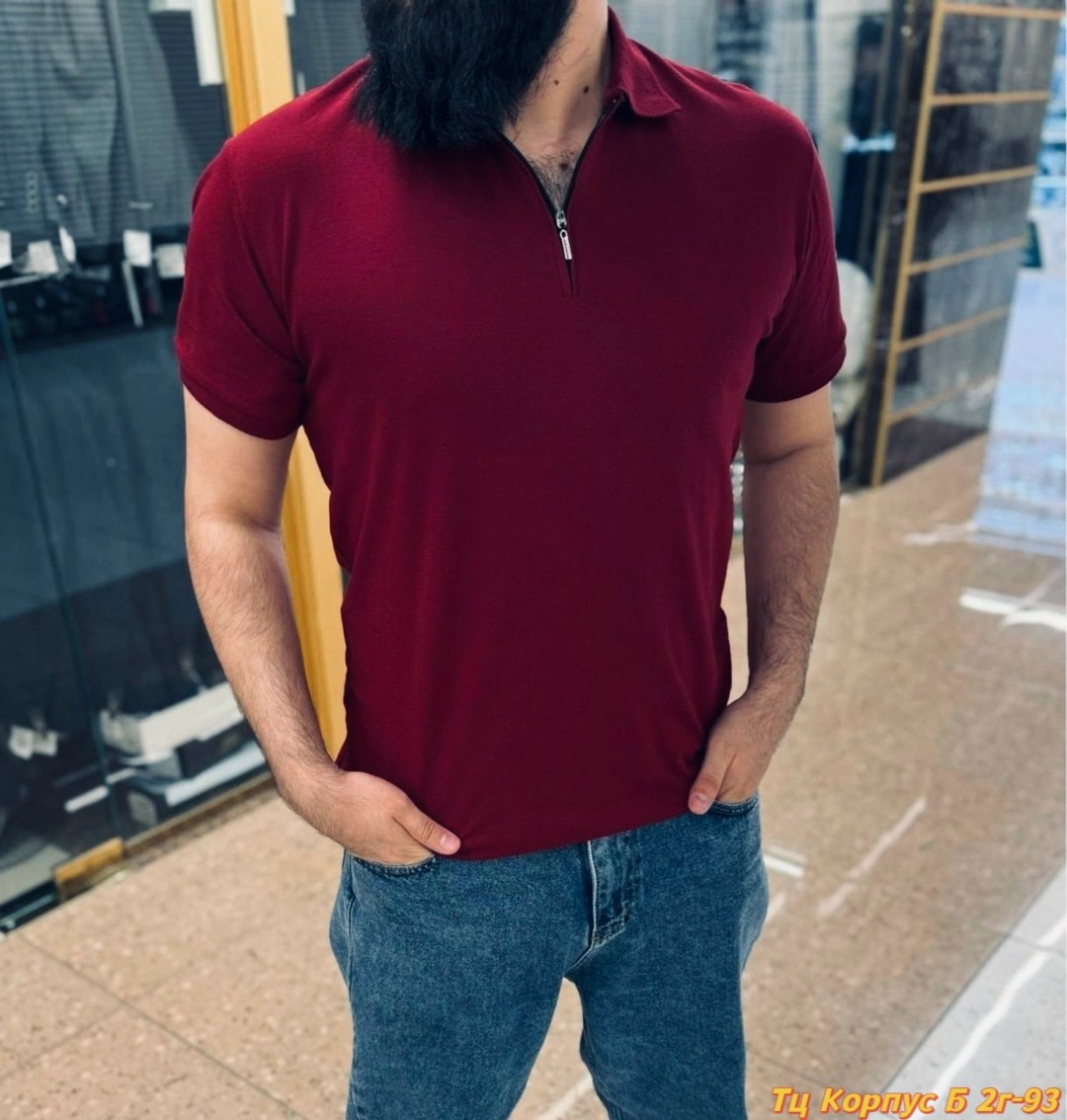 ,футболки для мужчин,мужская футболка поло,мужская мода,футболки с воротником