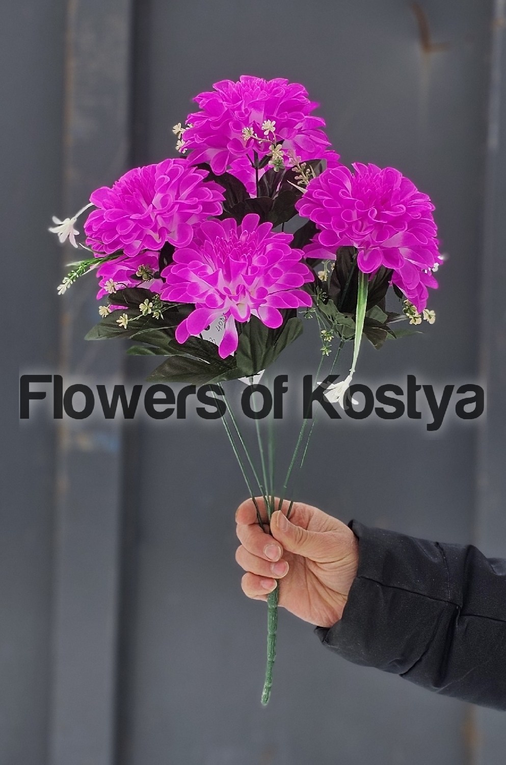 цветные хризантемы,желтые хризантемы,цветы хризантемы,разноцветные хризантемы,хризантема