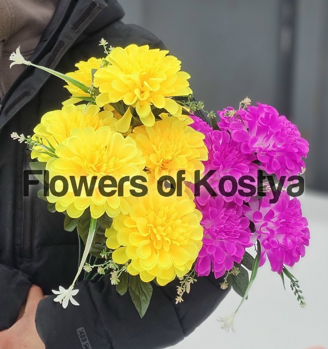 цветные хризантемы,желтые хризантемы,цветы хризантемы,разноцветные хризантемы,хризантема