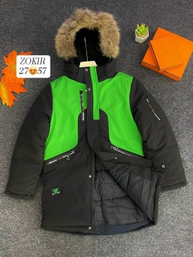 Верхняя одежда