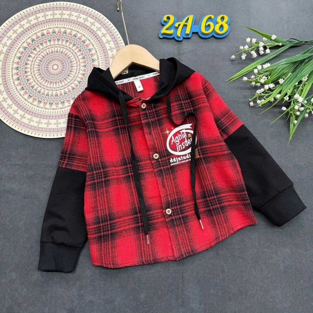 рубашка с капюшоном,рубашка в клетку с капюшоном,рубашка для мальчика,рубашка детская,рубашка с капюшоном для мальчика