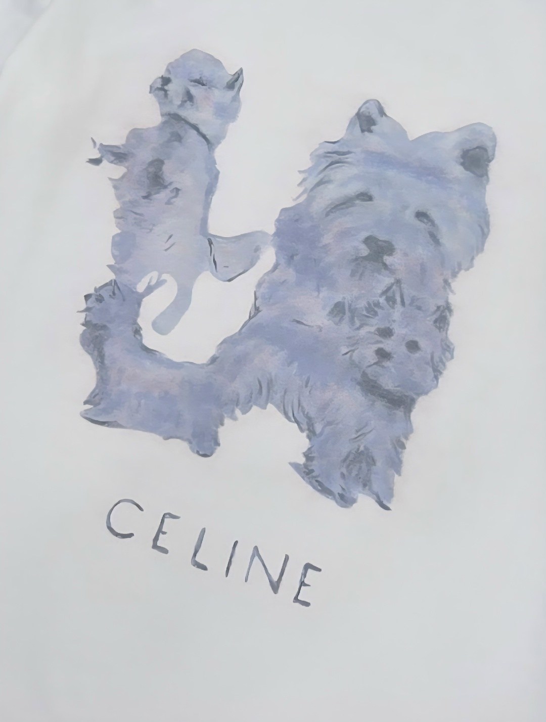 футболка celine,футболки женская,футболка стильная,футболки женские мужские,футболка