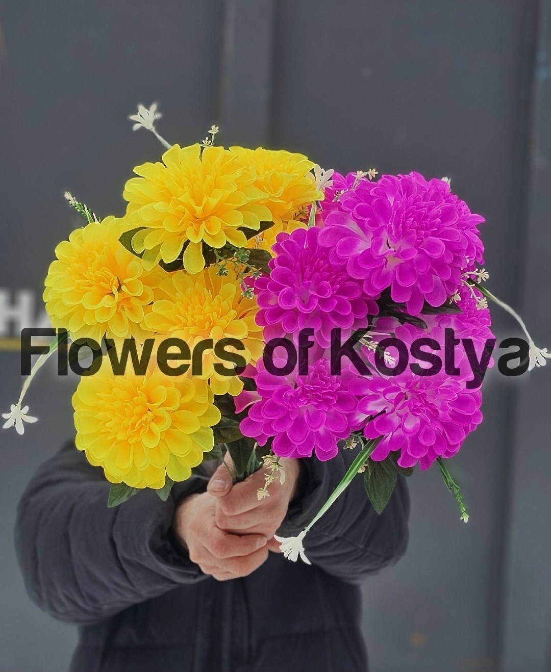 цветные хризантемы,желтые хризантемы,цветы хризантемы,разноцветные хризантемы,хризантема