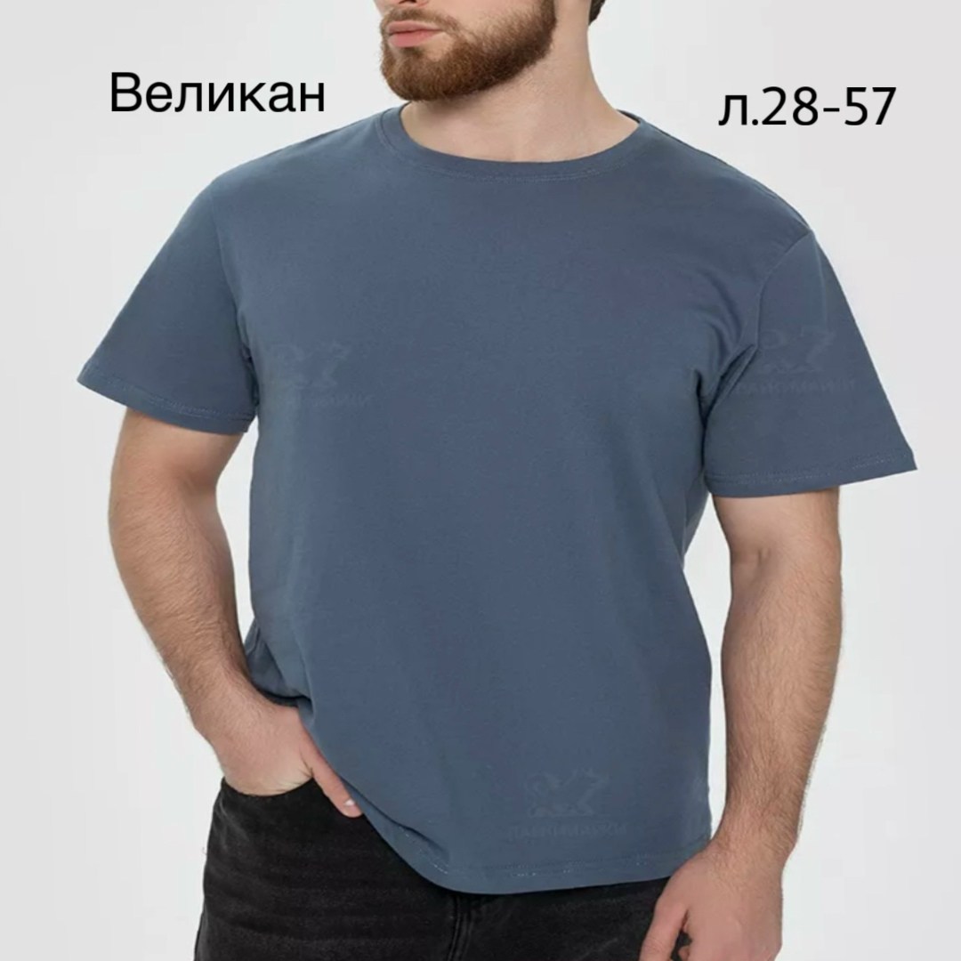 футболки мужские,футболки мужские больших размеров,футболка мужская серая,футболки для мужчин,футболка классика мужская