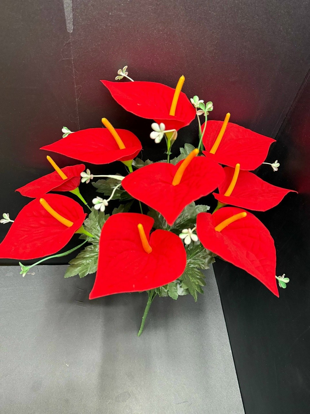 красный антуриум цветок,красный антуриум,антуриум,антуриум цветы,антуриум андре