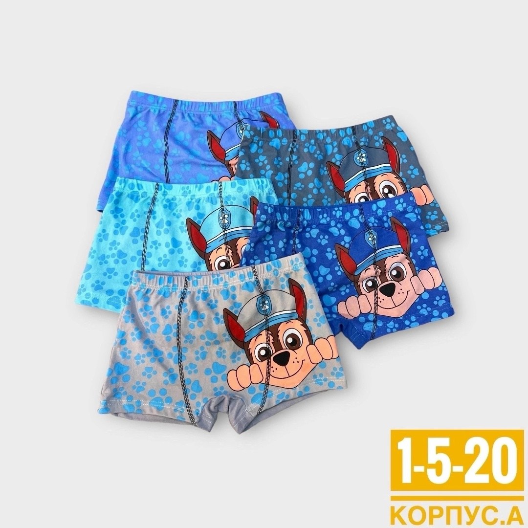 трусы на мальчика (боксеры) "coolkid" № g1206,боксеры детские,трусы для мальчика,трусы детские для мальчиков,трусы на мальчиков (боксеры)