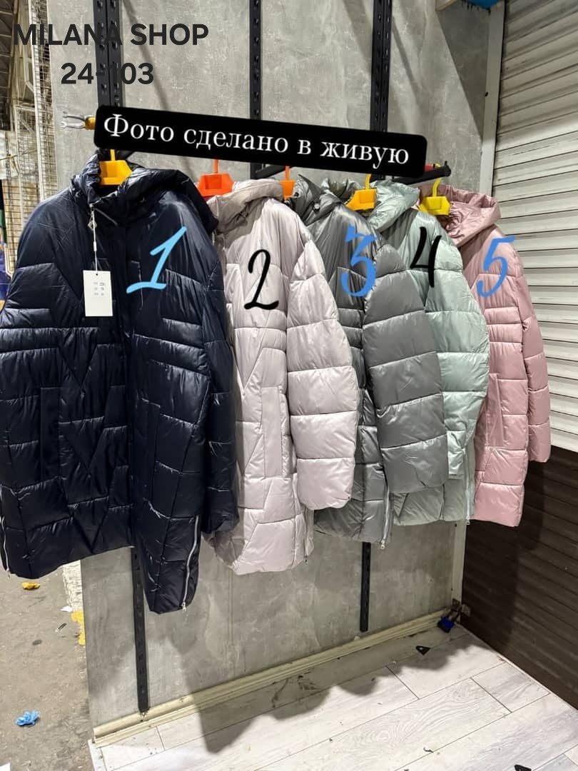 куртки,стильные куртки,стильные пуховики,женские куртки,куртка демисезонная