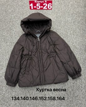 Верхняя одежда