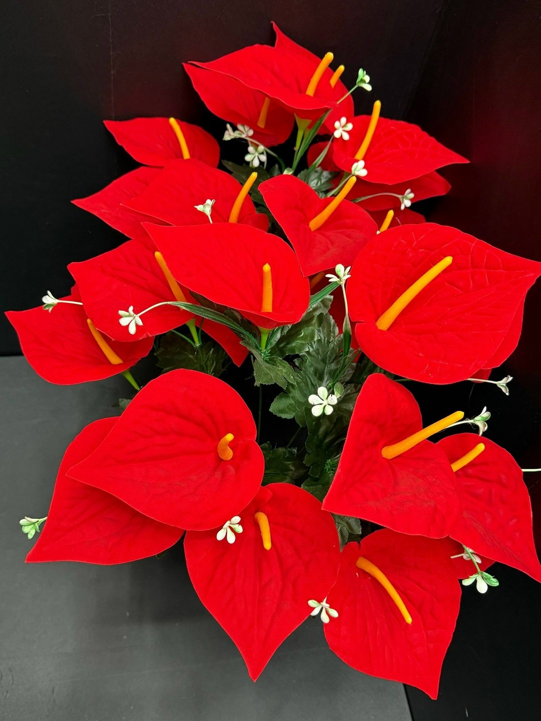 красный антуриум цветок,красный антуриум,антуриум,антуриум цветы,антуриум андре