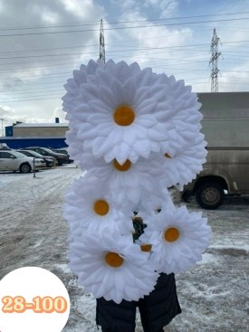 Цветы