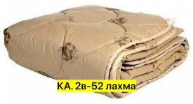 Одежда