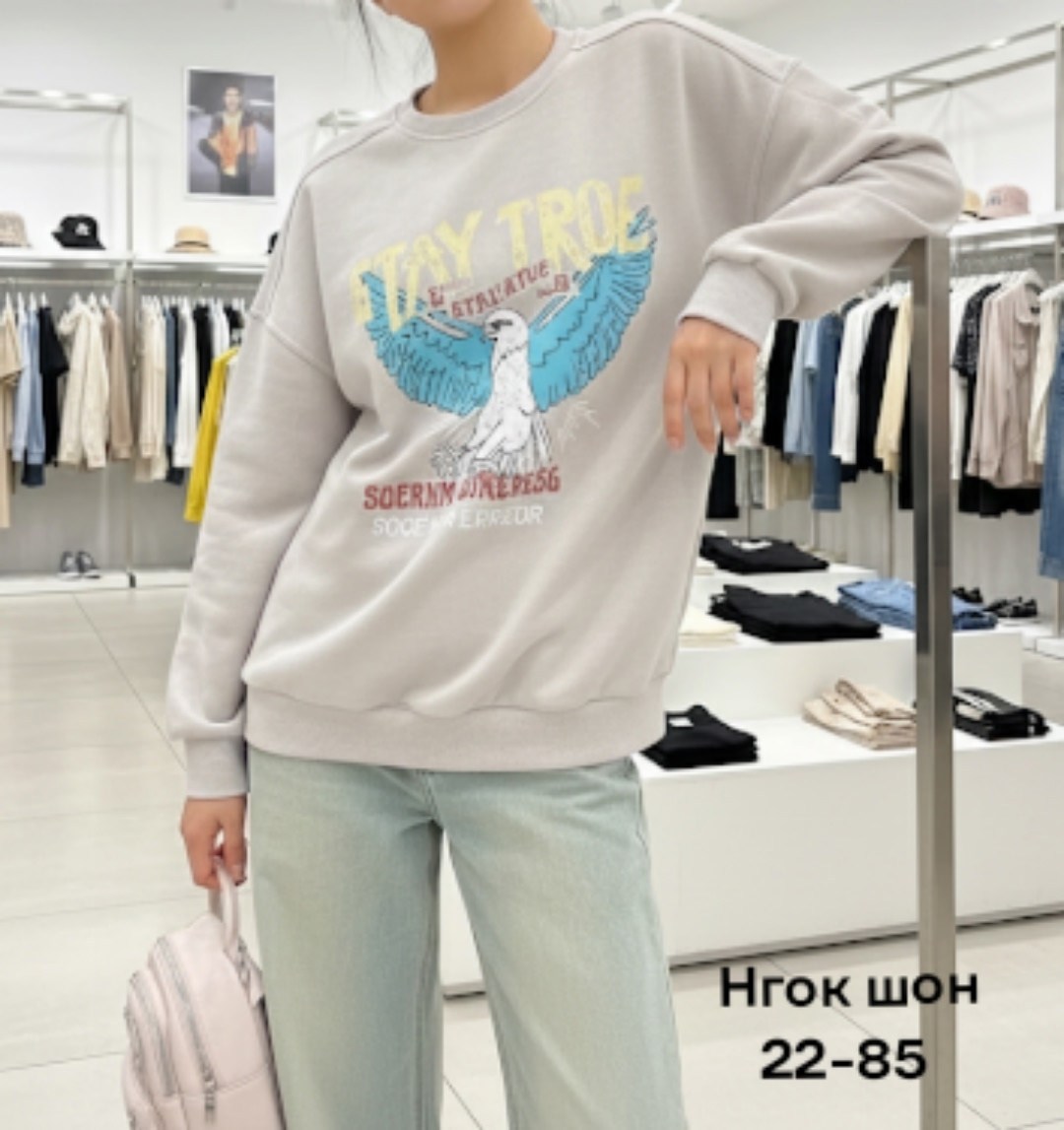 свободный свитшот,толстовки свитшот,свитшот с принтом,толстовка,мужские свитшоты