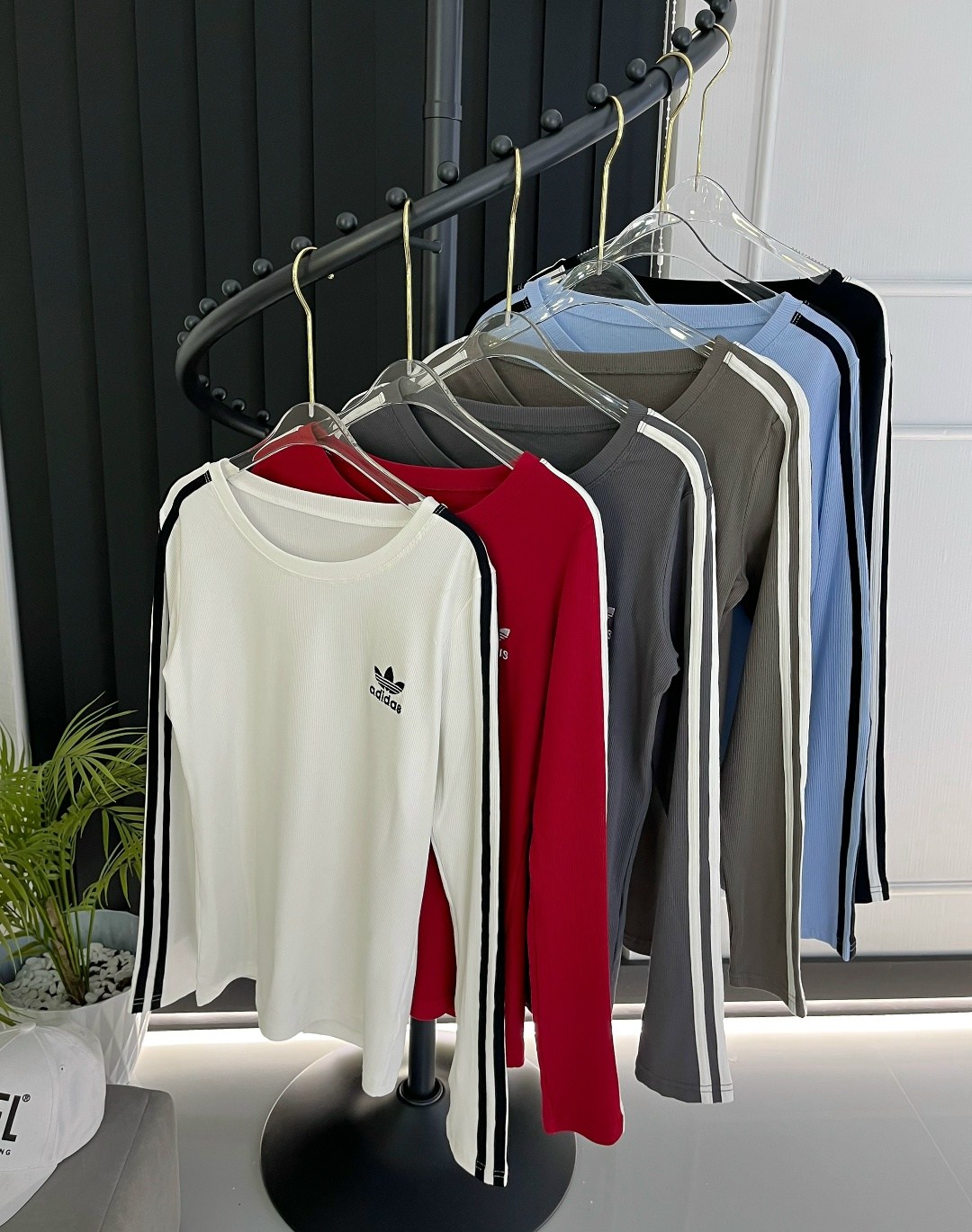 кофта женская,лонгслив adidas originals,адидас свитшот,лонгслив adidas adicolor белый,одежда кофта