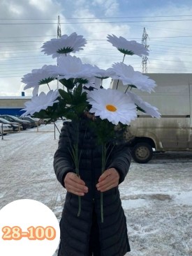 Цветы
