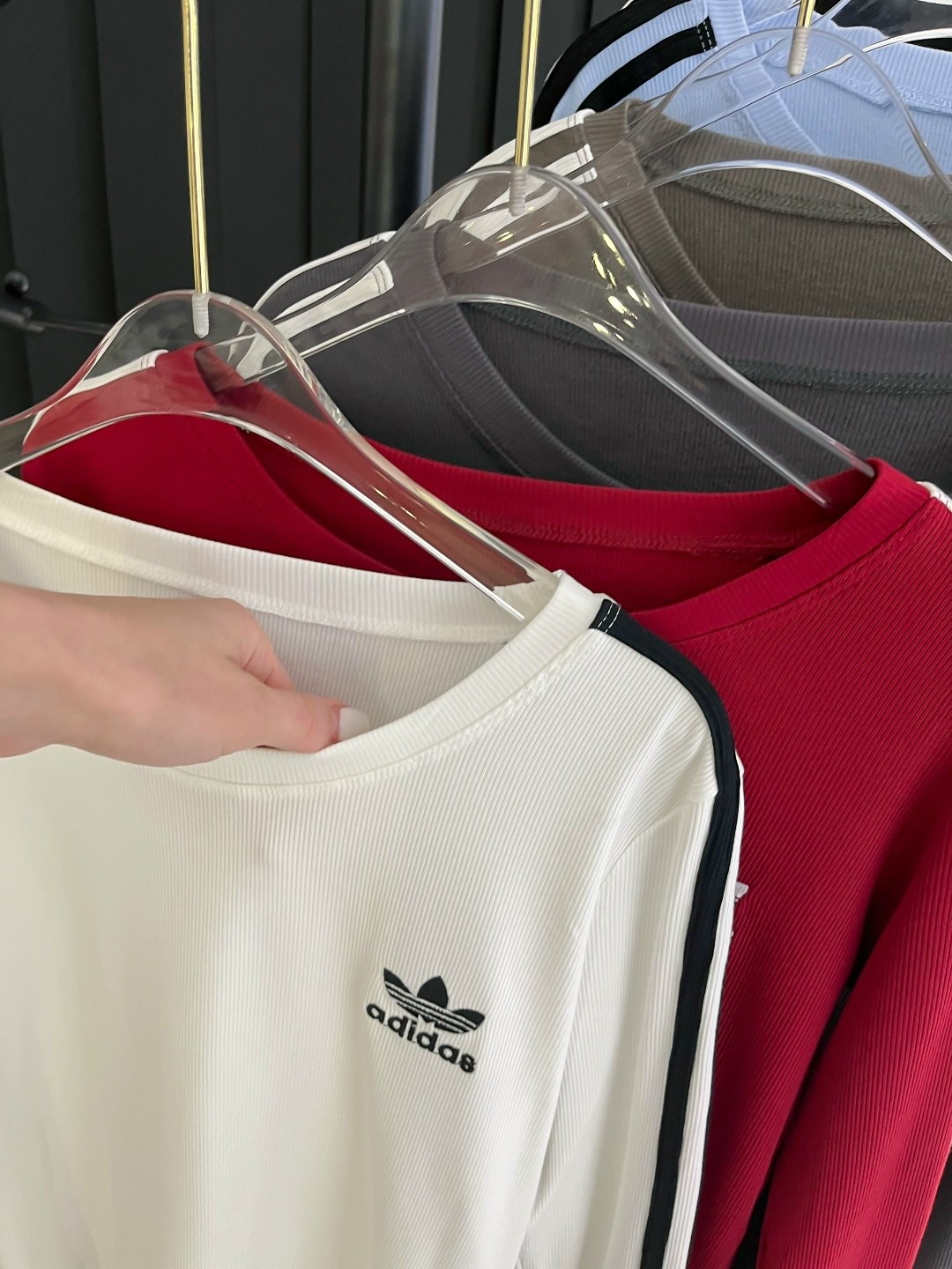 кофта женская,лонгслив adidas originals,адидас свитшот,лонгслив adidas adicolor белый,одежда кофта