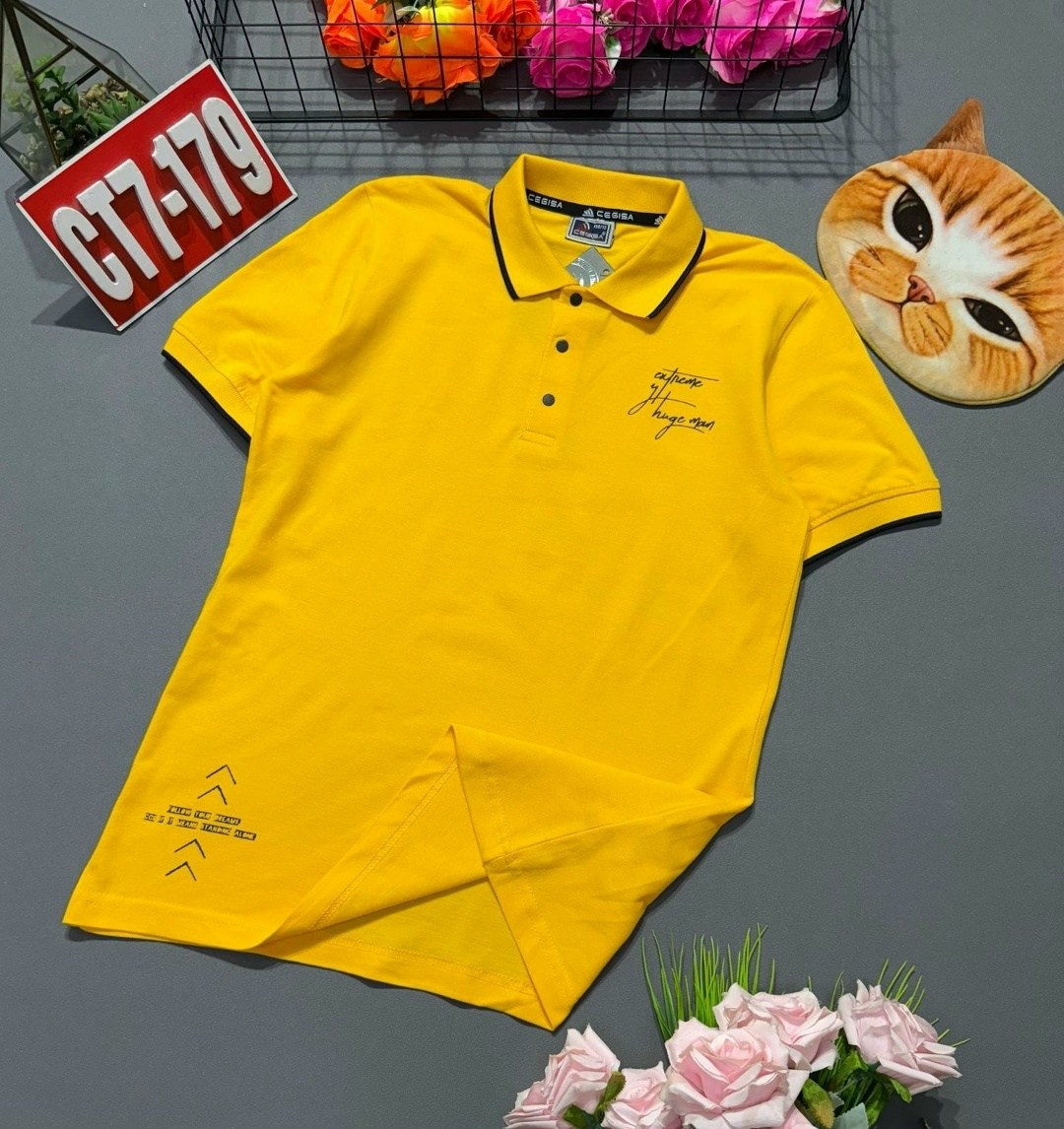 футболки поло мужская,футболки мужские,футболки поло,мужская мода,рубашка поло мужская