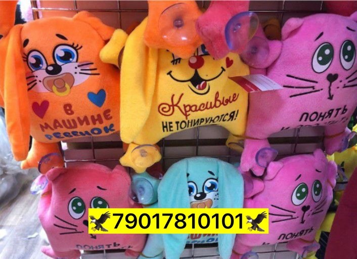 игрушка,мягкая игрушка,игрушек,игрушка кот на присосках,игрушка кот