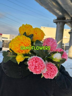 Одежда