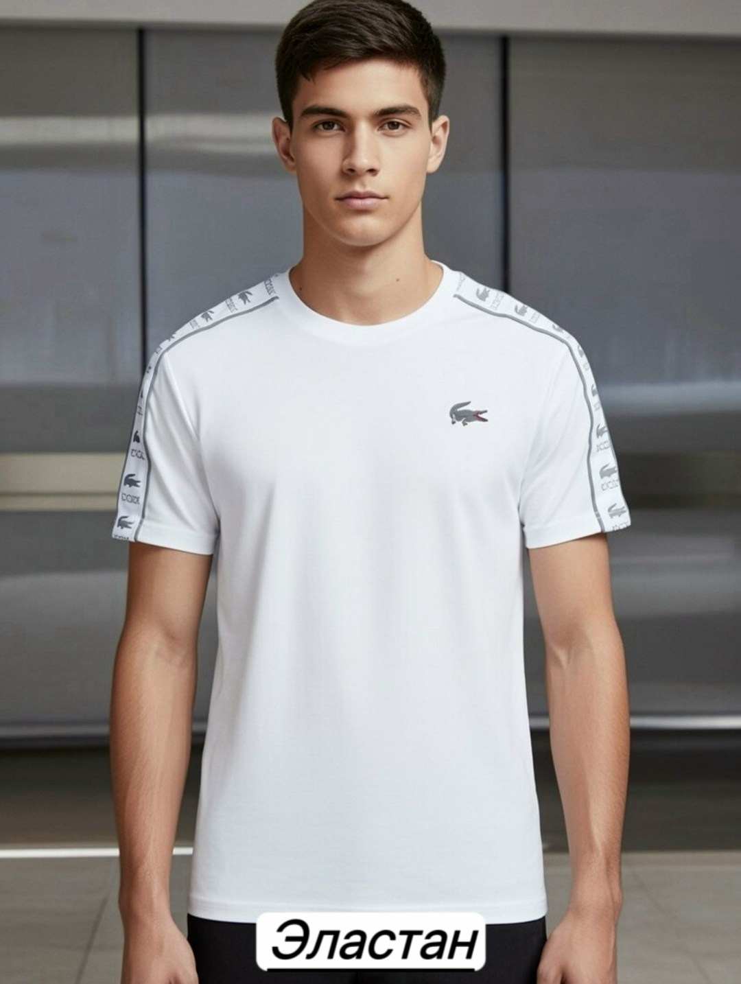 футболки мужские,lacoste футболка,мужские футболки lacoste,футболка,футболки для мужчин