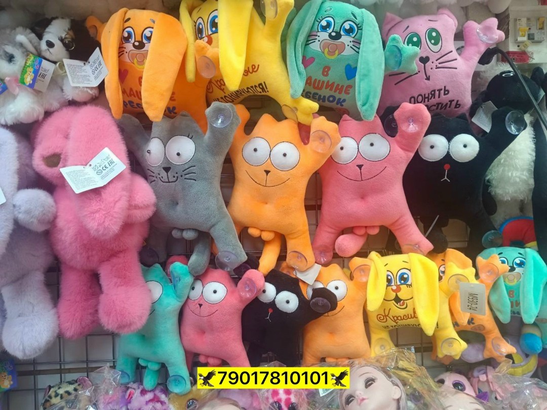 игрушка,мягкая игрушка,игрушек,игрушка кот на присосках,игрушка кот