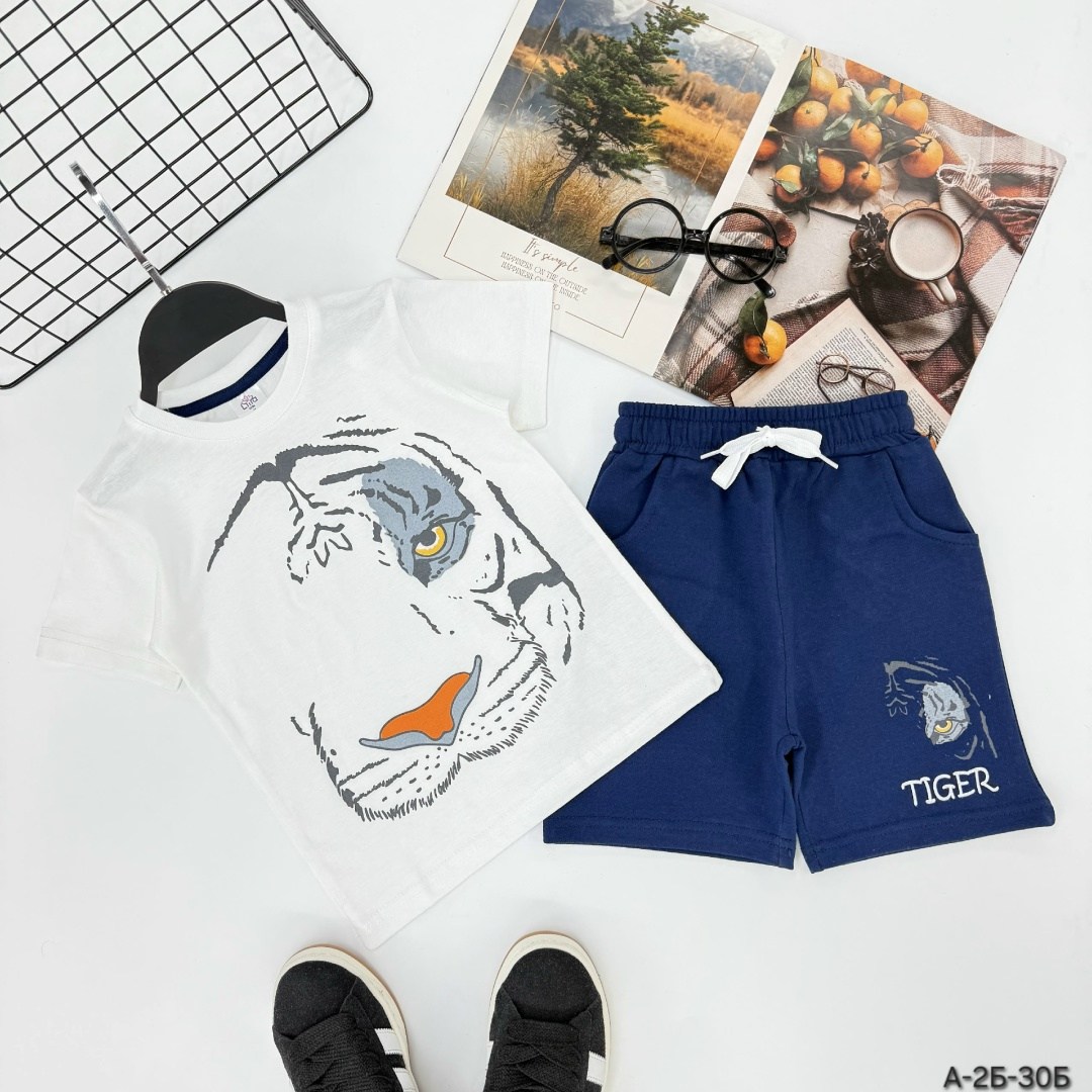 комплект одежды для мальчика,летний костюм для мальчика,одежда для мальчика,комплект футболка шорты на мальчика,комплект футболка и шорты