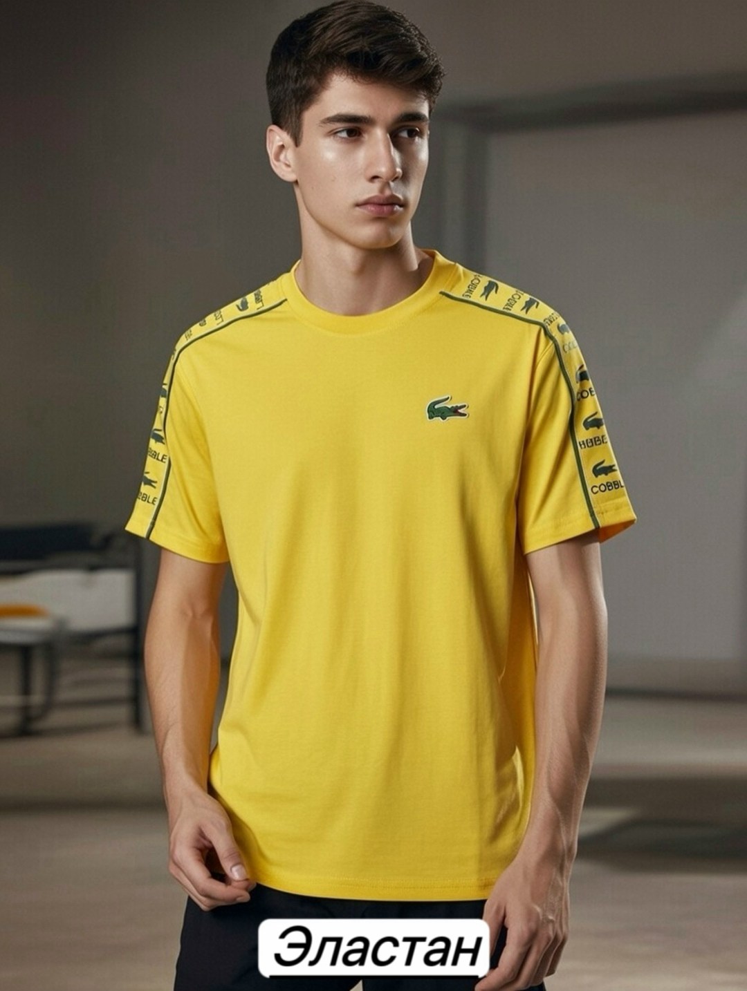 футболки мужские,lacoste футболка,мужские футболки lacoste,футболка,футболки для мужчин