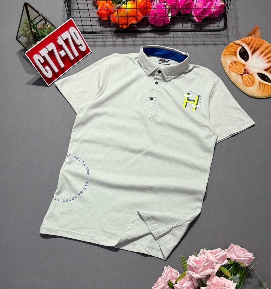 футболки поло мужская,футболки мужские,футболки поло,мужская мода,рубашка поло мужская