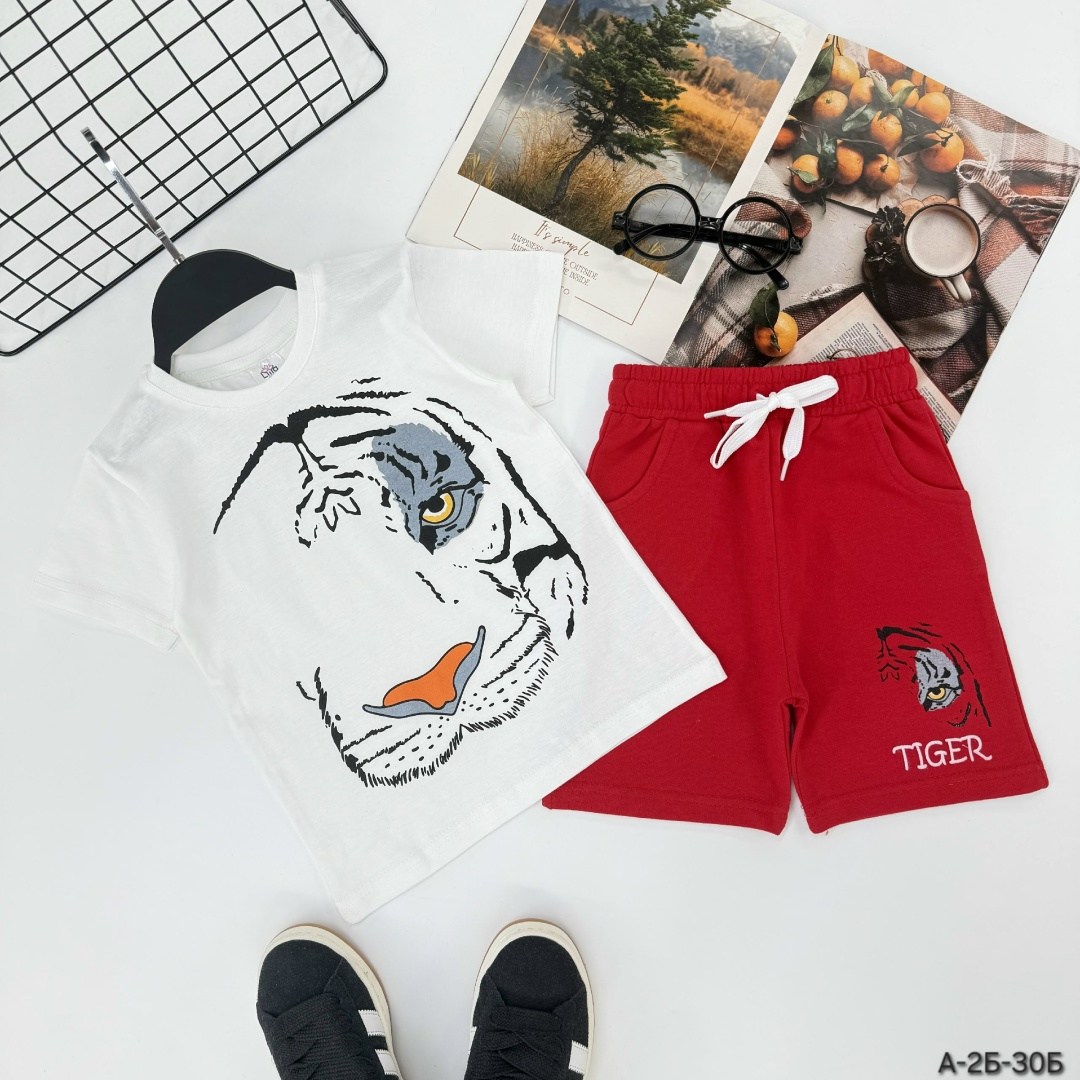 комплект одежды для мальчика,летний костюм для мальчика,одежда для мальчика,комплект футболка шорты на мальчика,комплект футболка и шорты
