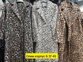 Верхняя одежда