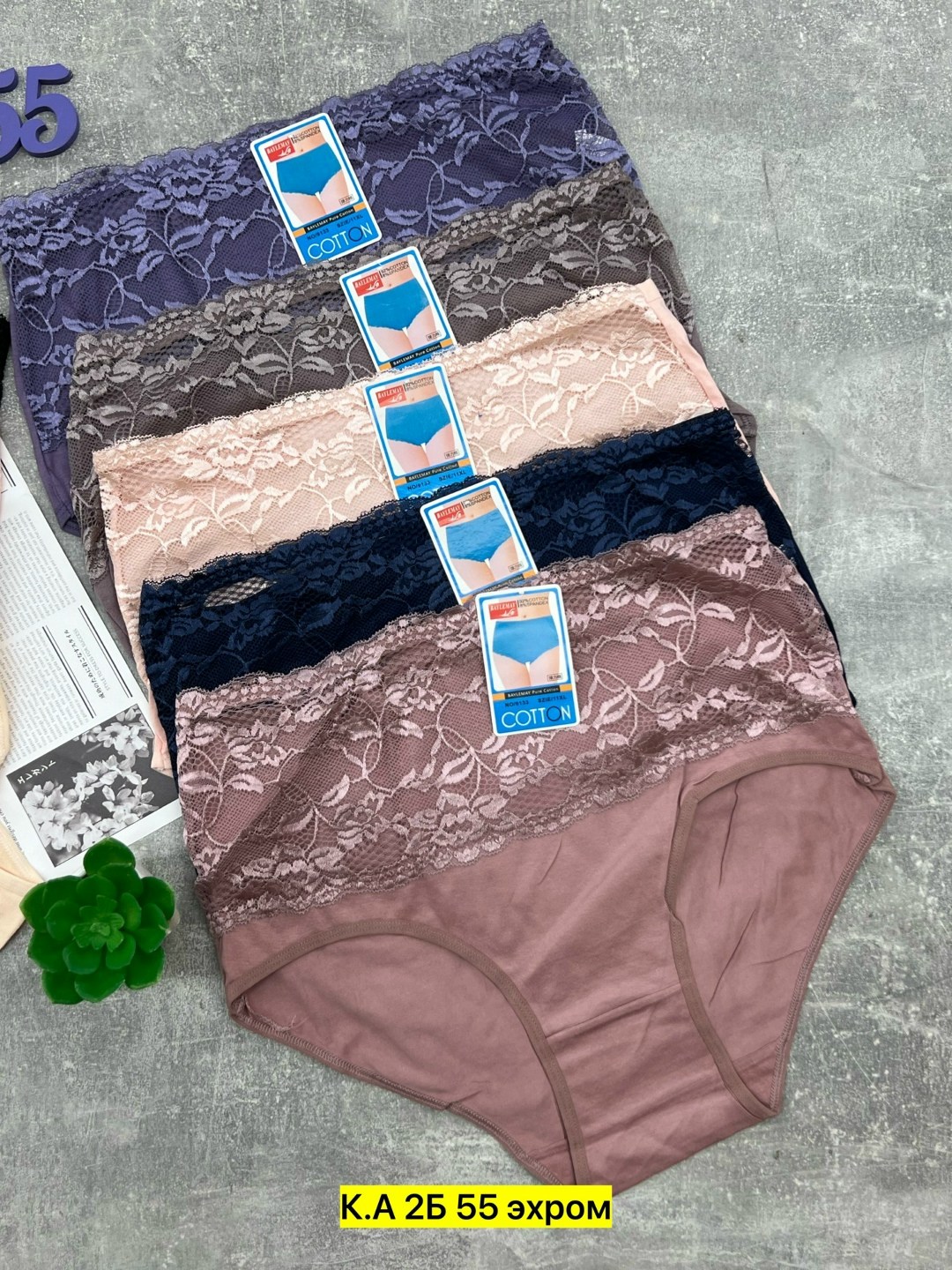 трусы женские 5 шт,трусы женски,трусы женские трусы,трусы женские 4 шт,трусы женские хлопок