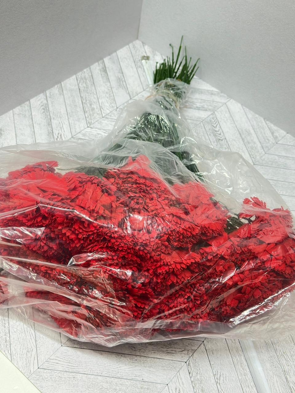 траурный букет красных гвоздик,гвоздика красная,букет гвоздик,букет гвоздик красных,гвоздика букет