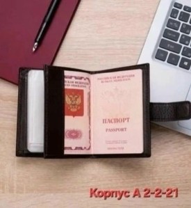 Одежда