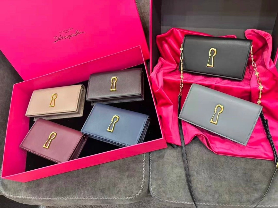 сумка schiaparelli,женские кошельки,клатч,сумка,стильный женский кошелек