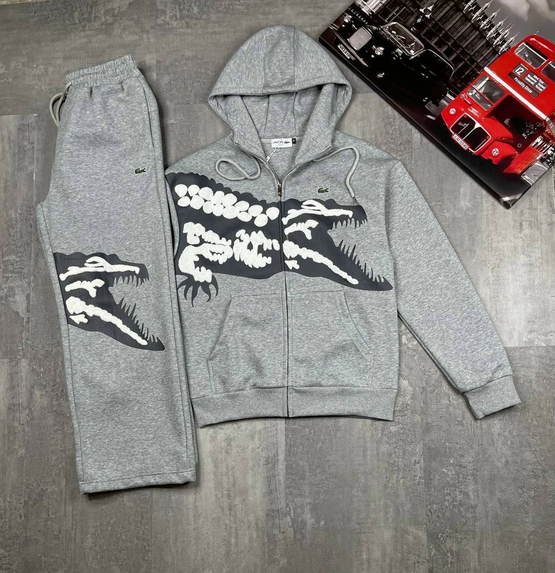 спортивный костюм lacoste,спортивные костюмы мужские,спортивные костюм,спортивные костюмы на флисе