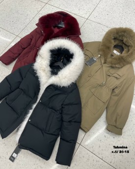 Верхняя одежда