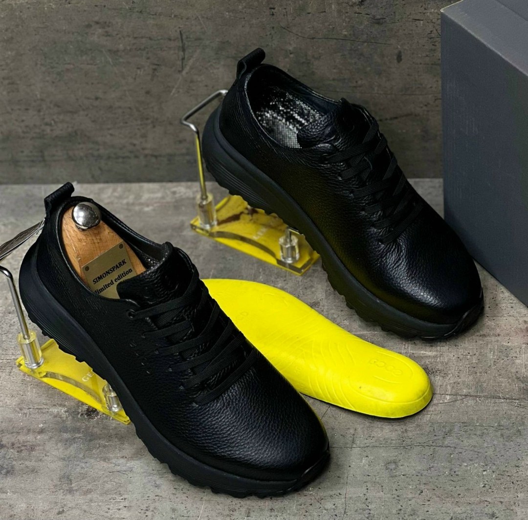 кроссовки мужские ecco biom,,кроссовки ecco biom,мужские кроссовки экко,ecco кроссовки мужские