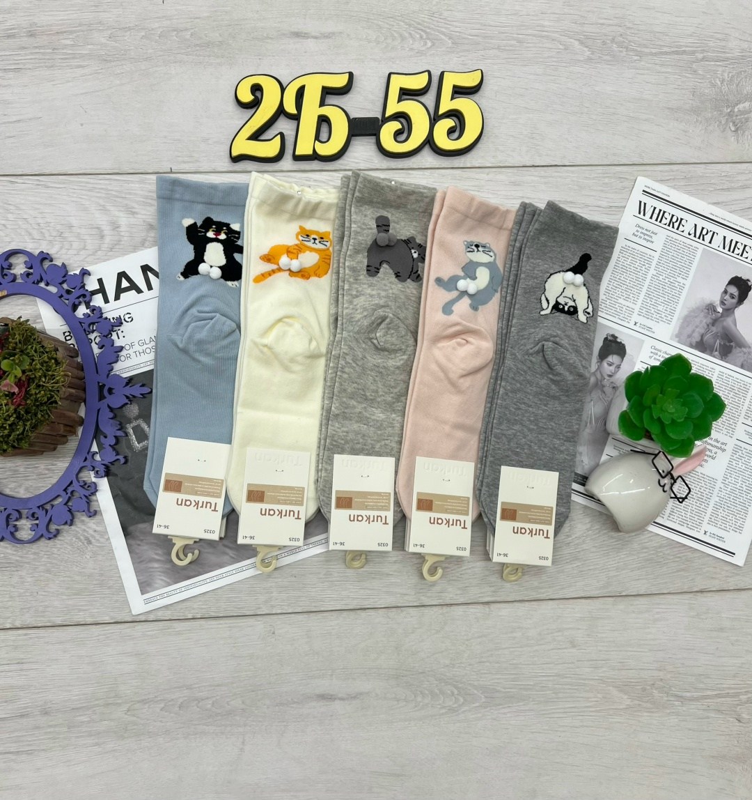 носки женские 10 пар,женские носки,носки комплект,носки оптом,носки женские р